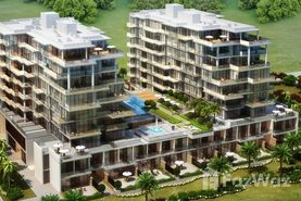 Orchid Real Estate Project in Orchid, Dubai