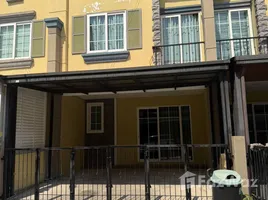 วิลล่า 4 ห้องนอน ให้เช่า ในโครงการ โกลเด้น ทาวน์ ติวานนท์-แจ้งวัฒนะ, บ้านใหม่, เมืองปทุมธานี, ปทุมธานี, ไทย