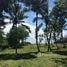  Land for sale in Bali, Pekutatan, Jembrana, Bali