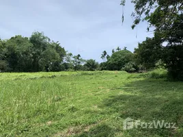  Grundstück zu verkaufen in Thep Krasattri, Phuket, Thep Krasattri, Thalang
