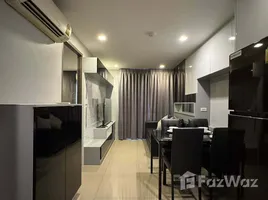 คอนโด 1 ห้องนอน ให้เช่า ในโครงการ มิราจ สุขุมวิท 27, คลองเตย