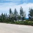  Grundstück zu verkaufen in Phanthai Norasing, Samut Sakhon, Phanthai Norasing
