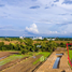  Земельный участок for sale in Накхон Ратчасима, Nai Mueang, Phimai, Накхон Ратчасима