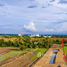  Land for sale in Phimai, Nakhon Ratchasima, Nai Mueang, Phimai