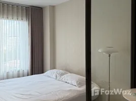 อพาร์ทเม้นท์ 1 ห้องนอน ให้เช่า ในโครงการ ไลฟ์ วัน ไวร์เลส, ลุมพินี