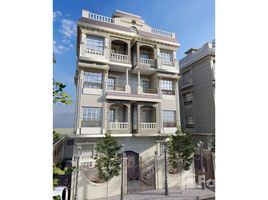 3 Habitación Apartamento en venta en Concrete, Hadayek October