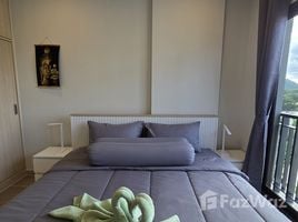 1 Bedroom Condo for rent at Marvest, Hua Hin City, Hua Hin, Prachuap Khiri Khan