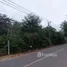  Grundstück zu verkaufen in Pa Khlok, Phuket, Pa Khlok, Thalang