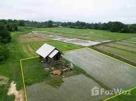  Terreno (Parcela) en venta en San Sai, Chiang Mai, Nong Yaeng, San Sai