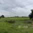  Land for sale in Bueng Bon, Pathum Thani, Bueng Bon, Nong Suea