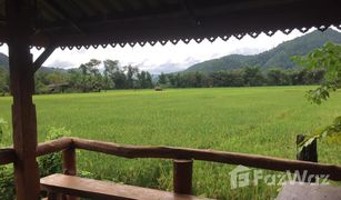 2 Schlafzimmern Haus zu verkaufen in Samoeng Tai, Chiang Mai 