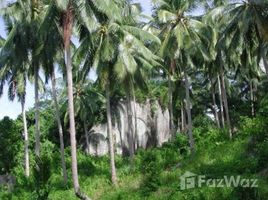  Land for sale in Koh Samui, Maret, Koh Samui