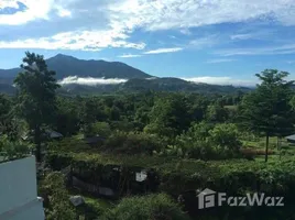 ขายที่ดิน ใน หงาว, เชียงราย, หงาว