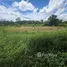  Land for sale in Don Kaeo, Chiang Mai, Don Kaeo, Saraphi, Chiang Mai, Thailand