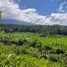 在里岛出售的 土地, Karangasem, Karangasem, 里岛