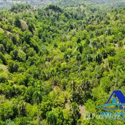 Solar en San Felipe De Puerto Plata, foto 3