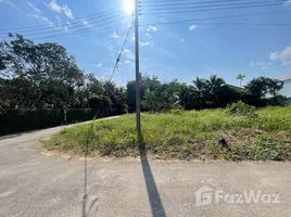  Terrain for sale in San Sai, Chiang Mai, San Sai Luang, San Sai