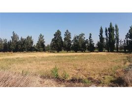  Terreno (Parcela) en venta en Colina, Colina