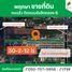  Земельный участок for sale in Khlong Hok, Патумтани, Khlong Hok, Khlong Luang, Патумтани