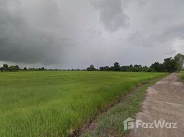 那空沙旺 Phanom Rok Land for Sale in Tha Tako N/A 土地 售 