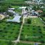  Land for sale in Choeng Thale, Thalang, Choeng Thale