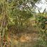  Land for sale in Thailand, Don Pao, Mae Wang, Chiang Mai, Thailand