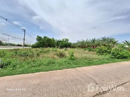 ขายที่ดิน ใน หนองบัว, หนองบัวลำภู, หนองบัว