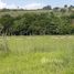  Land for sale in Jaboticabal, Jabuticabal, Jaboticabal