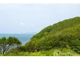 在Roatan, Bay Islands出售的 土地, Roatan