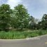  Land for sale in Ratchaburi, Bang Tanot, Photharam, Ratchaburi