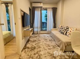 1 Bedroom Condo for rent at Phyll Phuket by Central Pattana, Wichit, Phuket Town, Phuket, Thailand