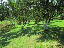  Land for sale in Costa Rica, Perez Zeledon, San Jose, Costa Rica