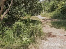  Terrain for sale in Nong Khai, Khai Bok Wan, Mueang Nong Khai, Nong Khai