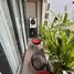 1 Habitación Casa en alquiler en My An, Da Nang, My An, Ngu Hanh Son, Da Nang, Vietnam