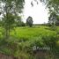  Land for sale in Seka, Bueng Kan, Tha Sa-At, Seka