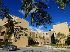 2 Bedroom Apartment for sale at Palm Parks Palm Hills, South Dahshur Link