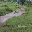  Land for sale in Chiang Dao, Chiang Mai, Chiang Dao, Chiang Dao
