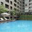 1 Bedroom Apartment for rent at The Seed Musee, Khlong Tan