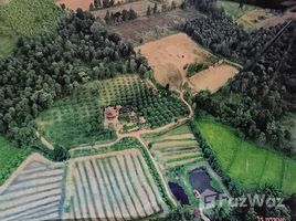 ขายที่ดิน ใน สีคิ้ว, นครราชสีมา, สีคิ้ว, สีคิ้ว, นครราชสีมา