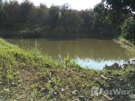  Land for sale in Pa Sang, Wiang Chiang Rung, Pa Sang