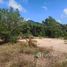  Land for sale in Ko Pha-Ngan, Surat Thani, Ko Pha-Ngan, Ko Pha-Ngan