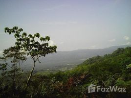 在哥斯达黎加出售的 土地, Coto Brus, Puntarenas, 哥斯达黎加