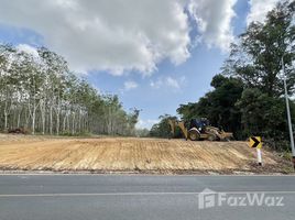  Grundstück zu verkaufen in Thalang, Phuket, Pa Khlok