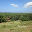  Land for sale in Mai Khao, Thalang, Mai Khao