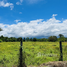 在哥斯达黎加出售的 土地, Pococi, Limon, 哥斯达黎加
