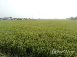  Land for sale in Thailand, Rat Niyom, Sai Noi, Nonthaburi, Thailand