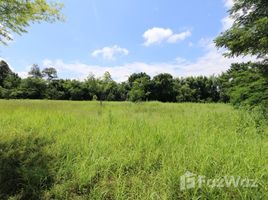 N/A Land for sale in Nam Phrae, Chiang Mai 3.5 Rai Land for sale close to Grand Canyon