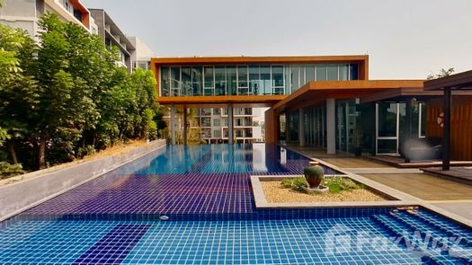 Photos 1 of the Communal Pool at Serrano Condominium Rama II