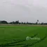  Land for sale in Don Faek, Nakhon Pathom, Don Faek, Nakhon Chai Si, Nakhon Pathom