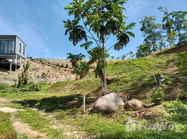  Land for sale in Thai Mueang Phangnga, Na Toei, Thai Mueang, Phangnga